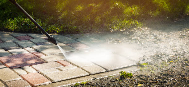 Best Soft Washing  in Jackson, AL